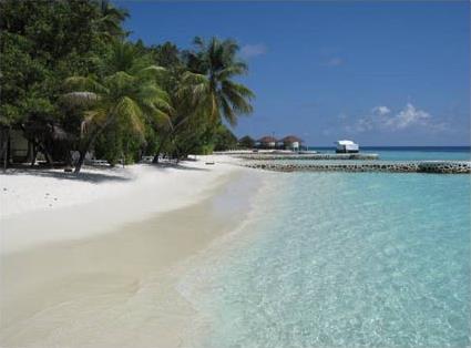 Hotel Maayafushi 4 **** / Atoll d'Ari Nord / les Maldives