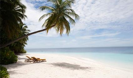 Hotel Angsana Ihuru Resort & Spa 5 ***** / Atoll Mal Nord / les Maldives