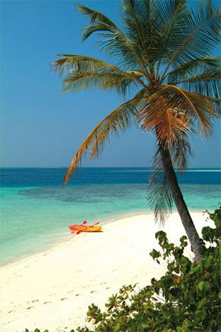 Hotel Biyadhoo 3 *** / Atoll de Mal Sud / les Maldives