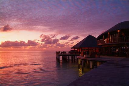 Hotel Coco Palm Bodu Hithi Resort & Spa 5 ***** Luxe / Atoll de Mal Nord / les Maldives