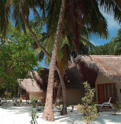 Hotel Hudhuranfufhi 3 *** Sup. / Atoll de Lhohifushi / les Maldives