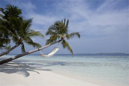 Hotel Vilamendhoo Island Resort 3 *** / Atoll d'Ari / les Maldives