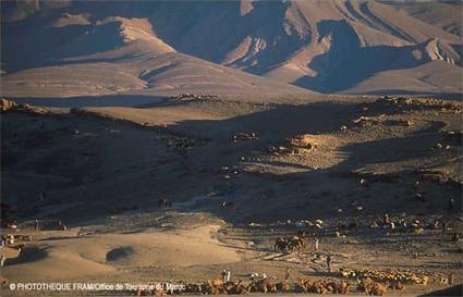 Circuit Incontournable / Au coeur du pays berbre / Agadir / Maroc