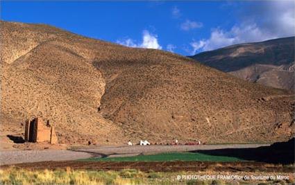 Circuit Incontournable / Au coeur du pays berbre / Agadir / Maroc