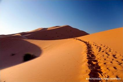 Circuit Aventure / Vers le Sud en 4 X 4 / Agadir / Maroc