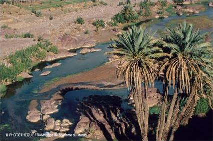 Circuit Aventure / Vers le Sud en 4 X 4 / Agadir / Maroc