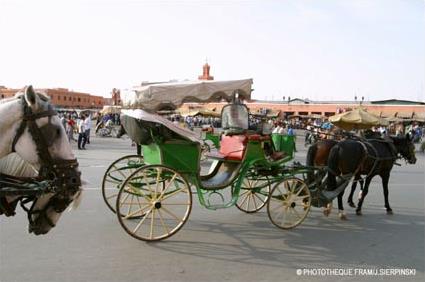 Circuit Incontournable / Les Villes Impriales / Marrakech / Maroc