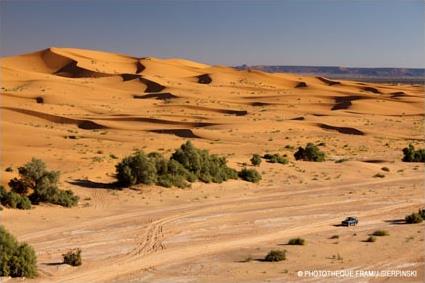 Circuit Aventure en 4 X 4 / Dunes et bivouacs / Ouarzazate / Maroc 