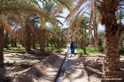 Circuit Aventure en 4 X 4 / Dunes et bivouacs / Ouarzazate / Maroc 