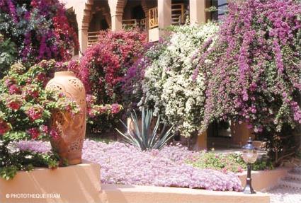 Hotel Tikida Garden 4 **** / Marrakech / Maroc