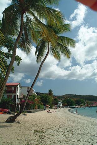 Hotel Camlia 2 ** / Trois lets / Martinique
