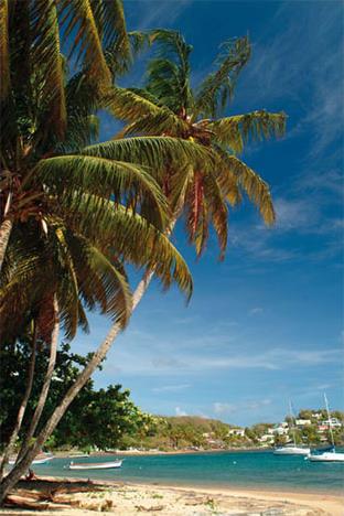 Hotel La Baie du Galion 3 *** / Tartane / Martinique