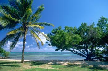 Hotel Le Cap Est Lagoon Resort & Spa 5 ***** / Le Franois / Martinique