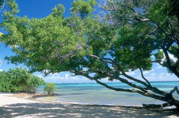 Hotel Le Cap Est Lagoon Resort & Spa 5 ***** / Le Franois / Martinique