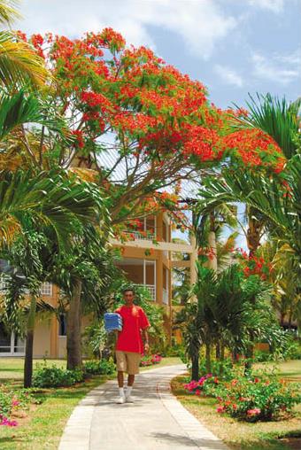 Hotel Le Victoria 4 **** / Pointe aux Piments / le Maurice