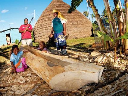 Circuit Puzzle Mar Lifou Ouva / Iles Loyauts / Nouvelle Caldonie