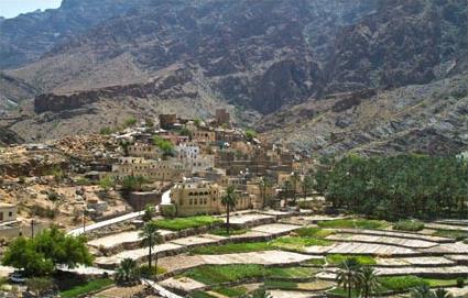 Les Circuits  Oman / De Villages en vergers / Oman