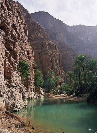 Les Circuits  Oman / Wadis et canyons / Oman