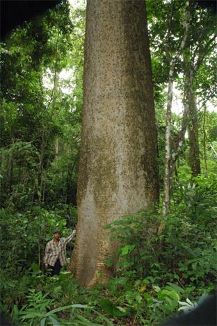 Combin Circuit - Costa Rica / Panama