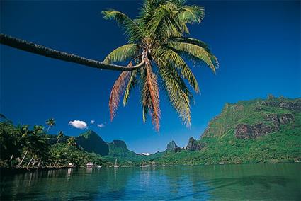 Croisire Archipel Dream Yacht / Mini Croisire Moorea Dream / Polynsie Franaise