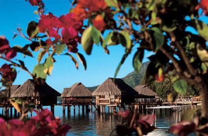 Hotel Sofitel Ia Ora 5 ***** / Moorea / Polynsie Franaise