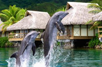 Hotel Intercontinental Resort 5 *****/ Moorea