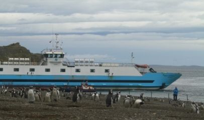 Croisière Australis au départ de Punta Arenas - Patagonie - Argentine - Chili