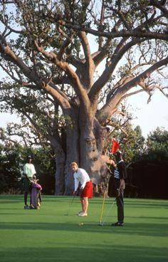 Golf de Saly / Saly / Sngal