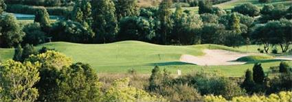 Golf Citrus / Hammamet / Tunisie