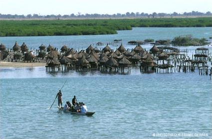 Circuit Dcouverte du Sin-Saloum / Le Saloum / Sngal