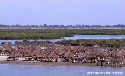 Circuit Dcouverte du Sin-Saloum / Le Saloum / Sngal