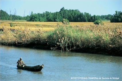 Circuit Dcouverte du Sin-Saloum / Le Saloum / Sngal