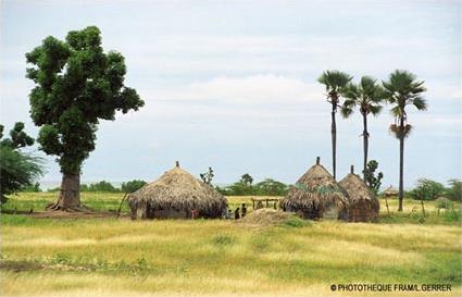 Circuit Dcouverte du Sin-Saloum / Le Saloum / Sngal