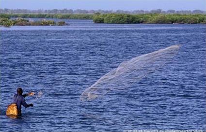 Circuit Dcouverte du Sin-Saloum / Le Saloum / Sngal