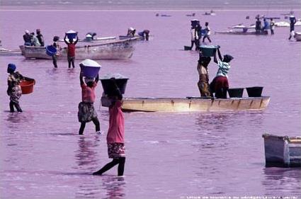 Circuit Dcouverte du Sin-Saloum / Le Saloum / Sngal