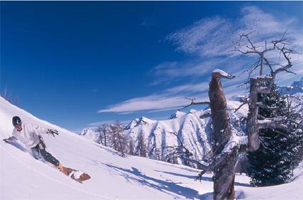 Rsidence Les Terrasses d' Azur / Isola 2000 / Alpes Maritimes