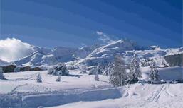 Le ski  La Joue du Loup