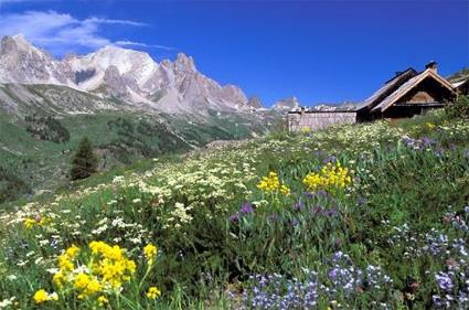 Rsidence Les Gentianes / Puy Saint Vincent / Hautes Alpes