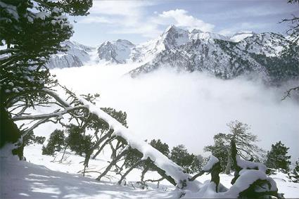 Rsidence Le Montana / La Mongie / Hautes-Pyrnes