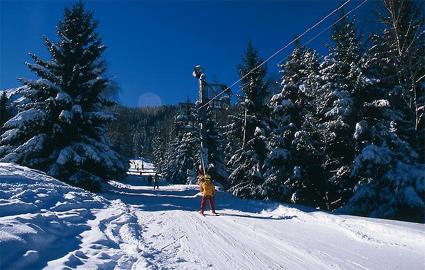 Rsidences Les Droseras / Chamrousse / Isre