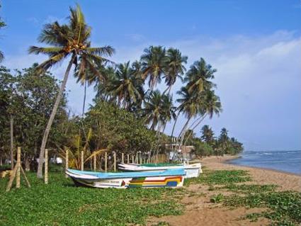 Hotel Club Palm Garden 3 *** / Beruwela / Sri Lanka