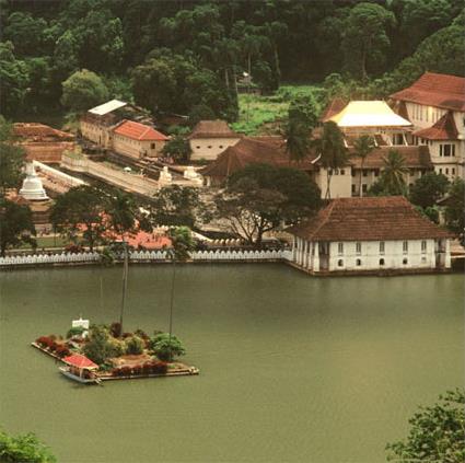 Circuit Au Pays de l' Or Vert / Sri Lanka