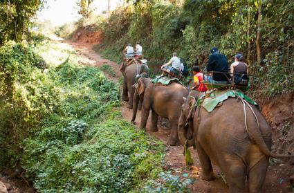 Les Excursions Famille  Bangkok / Rose Garden / Thalande