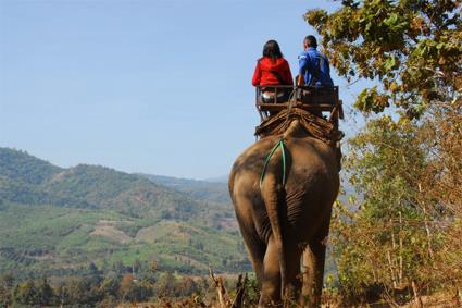 Les Excursions  Chiang Ma /  dos d'lphant / Thalande