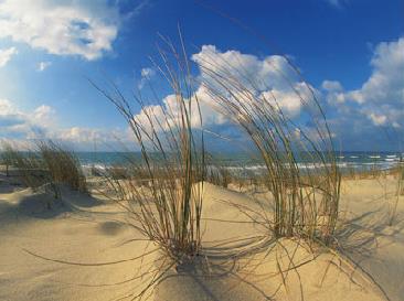 Thalazur Arcachon / Hotel Novotel 3 *** / Cte Atlantique / France