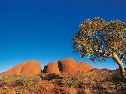 Tours du Monde / Du Taj Mahal  Hollywood / Inde - Australie - les Vanuatu - Los Angeles