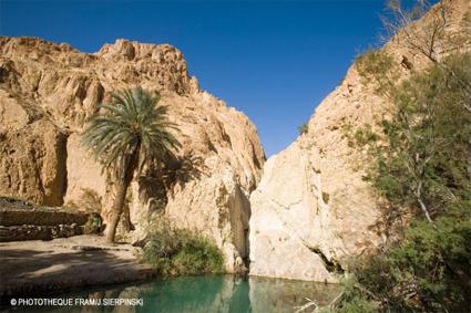 Circuit Aventure / La Saharienne / Djerba / Tunisie