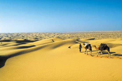 Circuit Le Sud Tunisien en 4 x 4 / Djerba / Tunisie