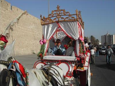 Circuit Les Trsors de la Tripolitaine / Djerba / Tunisie