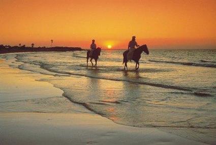 Hotel Rym Beach 3 *** Sup. / Djerba / Tunisie